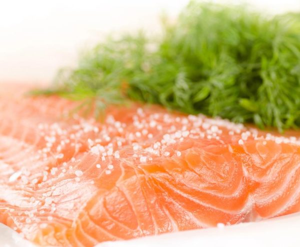 Arctic char